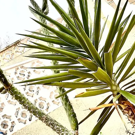 Family-friendly With Pool In The Heart Of Apartment *