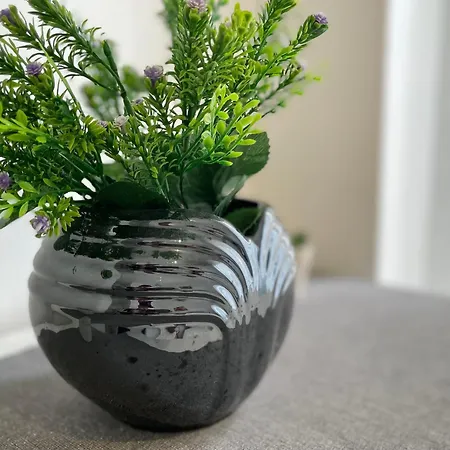 Apartment Family-friendly With Pool In The Heart Of Torrevieja