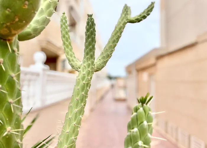 Family-friendly With Pool In The Heart Of Appartement *