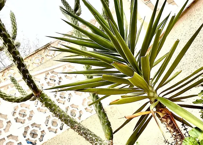 Family-friendly With Pool In The Heart Of Appartement *