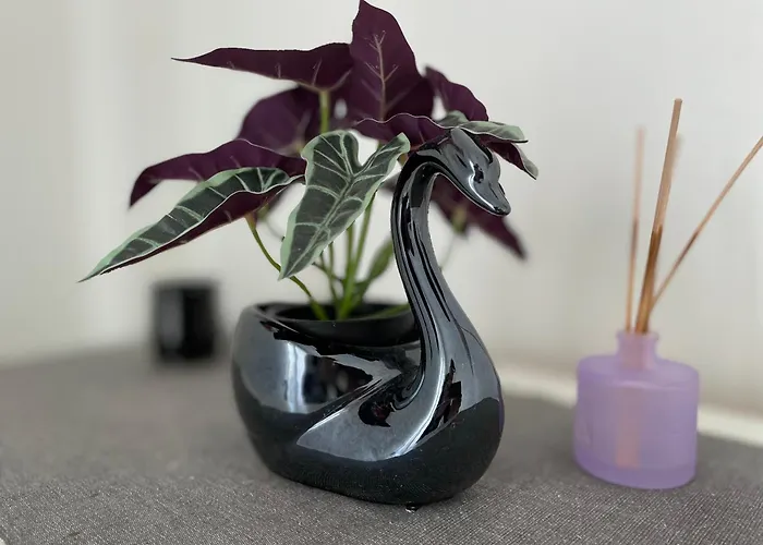 Family-friendly With Pool In The Heart Of Appartement Torrevieja