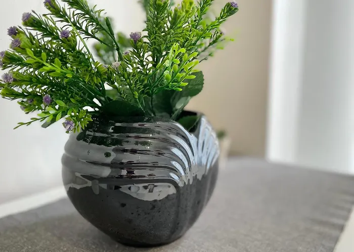 Appartement Family-friendly With Pool In The Heart Of Torrevieja