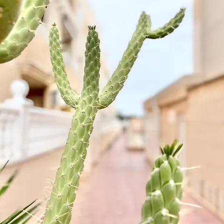 Family-friendly With Pool In The Heart Of 아파트 *