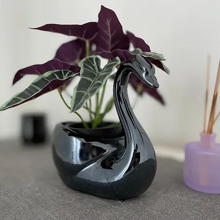 Family-friendly With Pool In The Heart Of 아파트 또레비에하